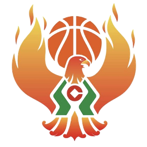 https://img.xtcg.cn/img/basketball/team/09b49d34027e0409a4de3295f8c71a2d.png