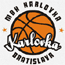 https://img.xtcg.cn/img/basketball/team/0c2f73d2ab7041cf90029a20deff7f17.gif